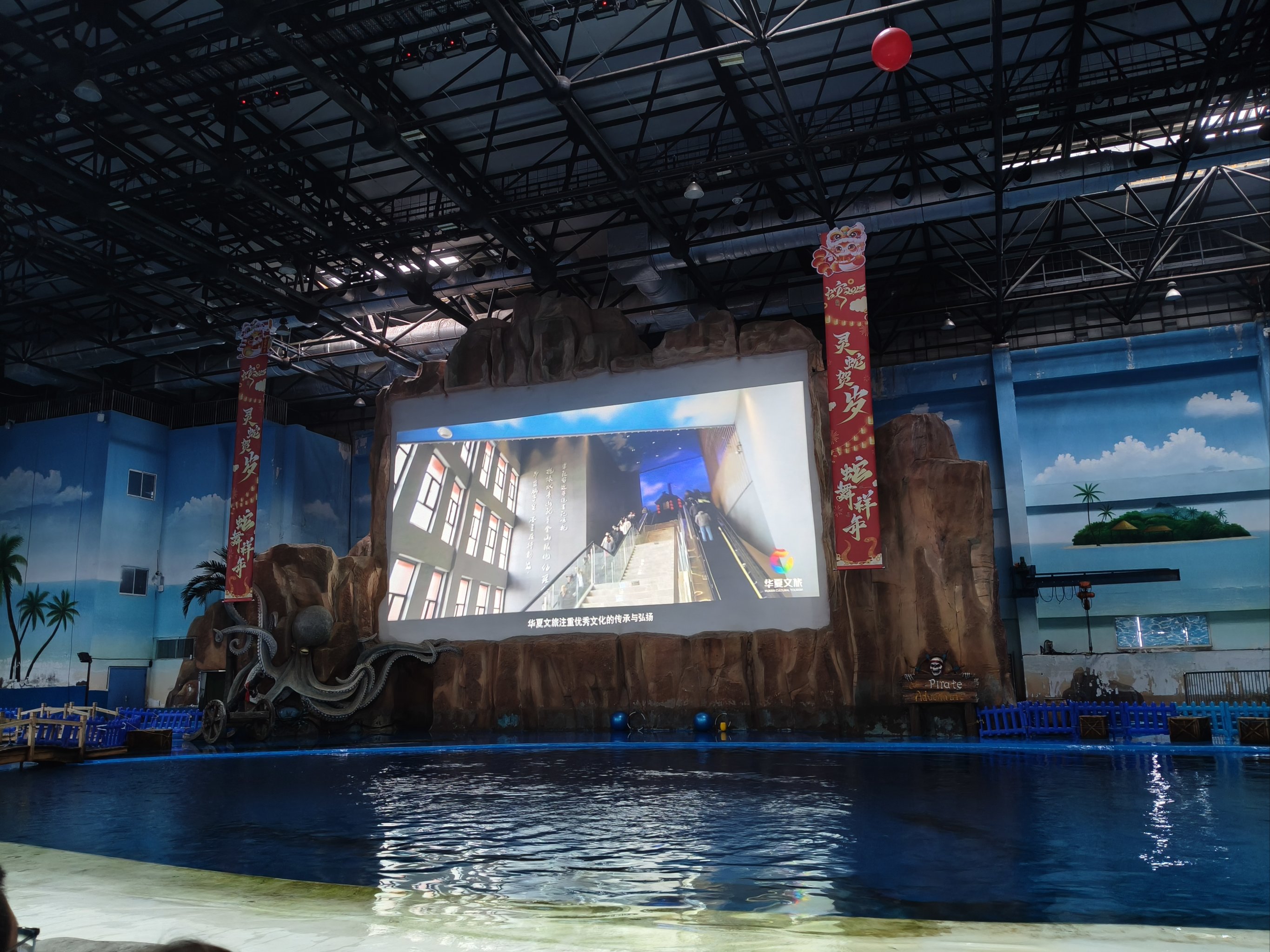 特色海域潜水乐园，探索海底奇观的神秘之门的简单介绍