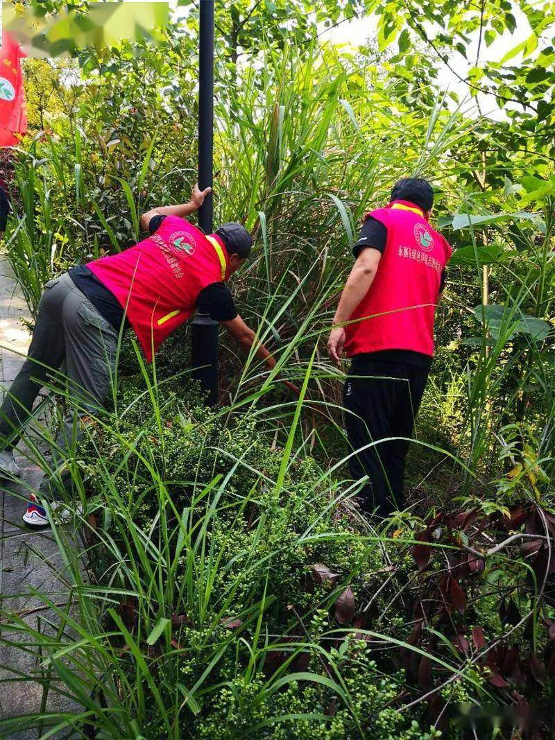 青少年“绿色先锋”篮球公益行动在哈尔滨持续开展，践行环保理念的简单介绍