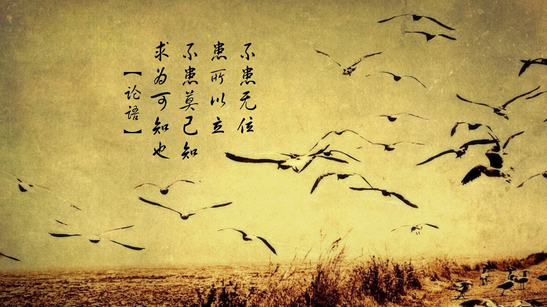 _速度飙升：城市极限赛道全攻略_，城市赛车极速漂移的兑换码