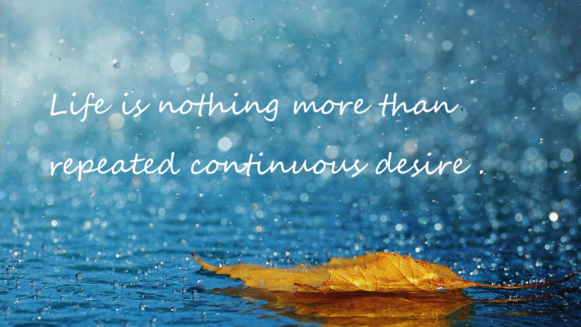 “高速飘逸”——车手漂移技巧大公开,高速漂移视频