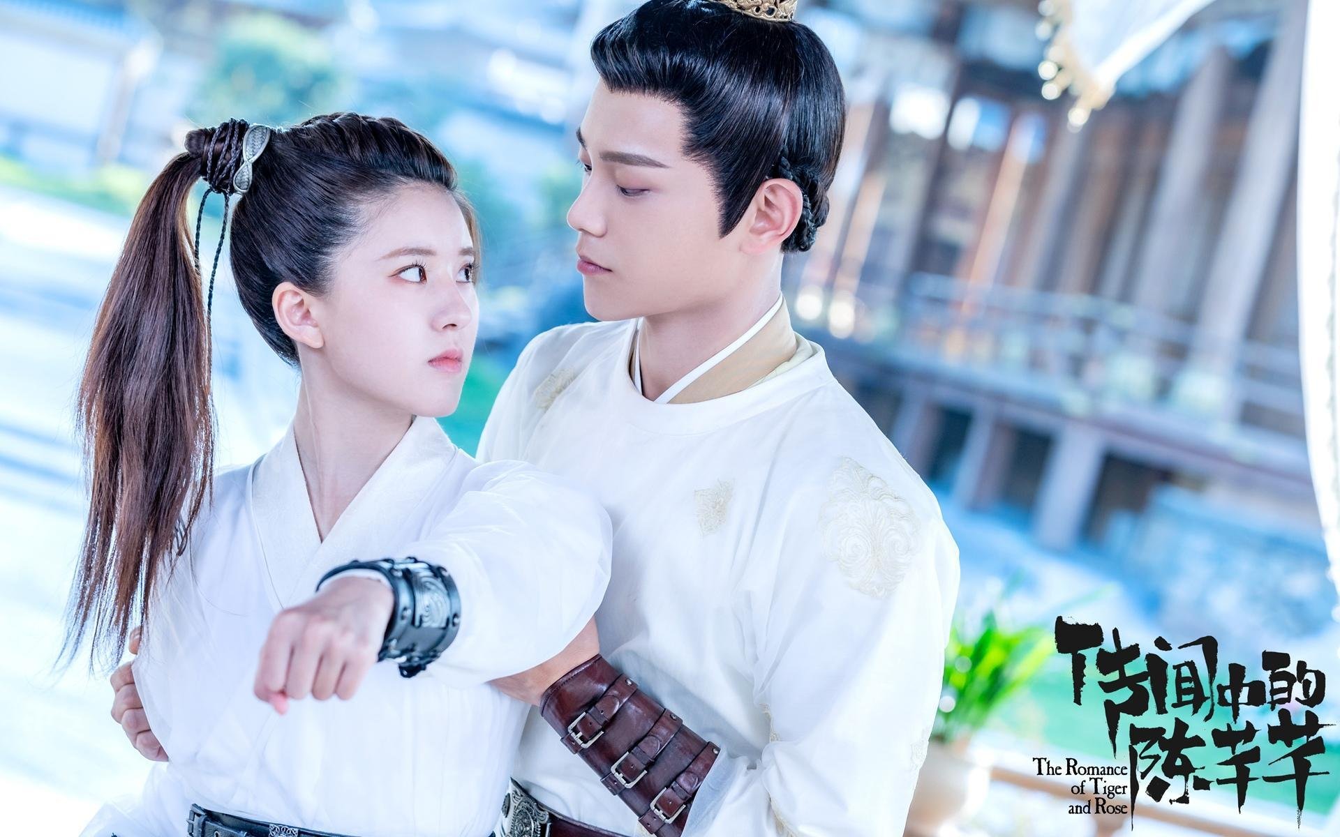 中国足球国家队战术调整,备战亚洲杯,中国足球方案