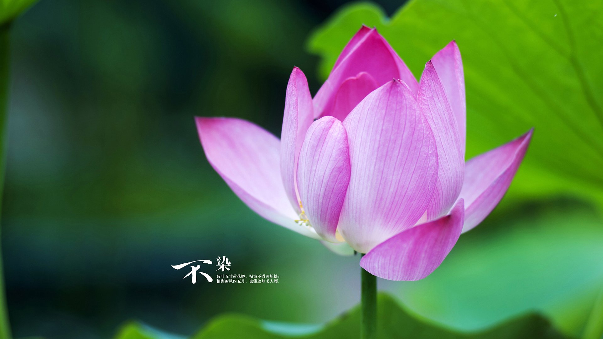 史上“最极端”的比赛：极限条件下的惊心动魄，极端最高气温是什么意思