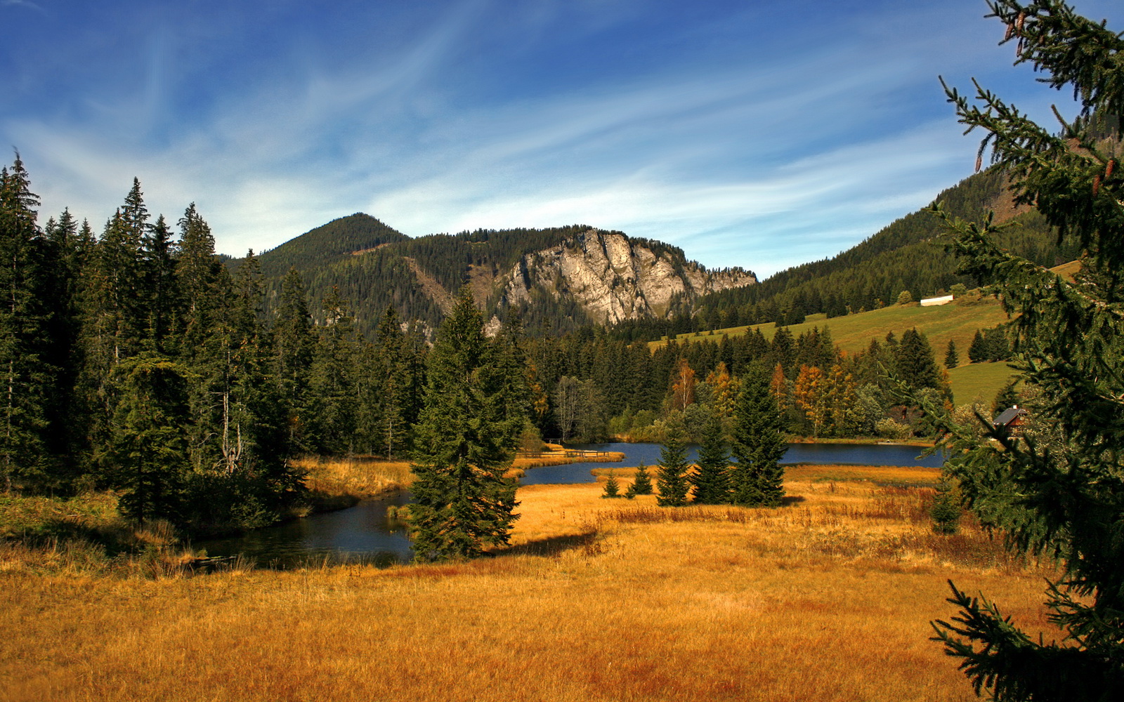 德甲主场优势明显,拜仁慕尼黑豪取连胜,德甲拜仁慕尼黑直播