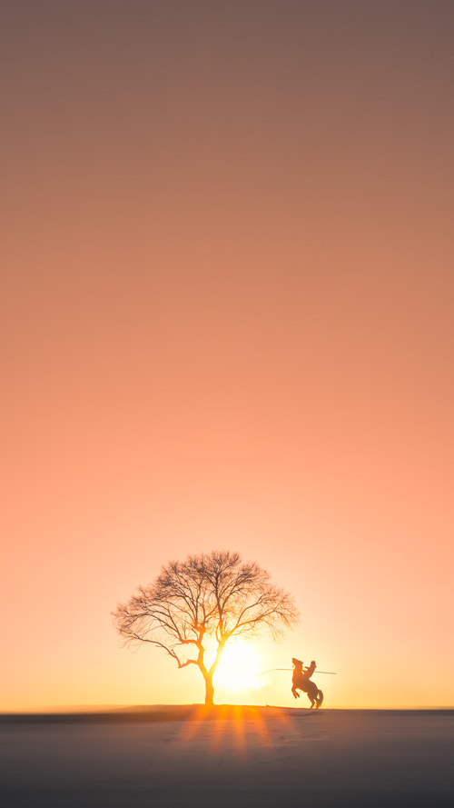 爱游戏中国官方登录入口网站-热火防守如铁，限制对手得分出奇制胜，热火队防守