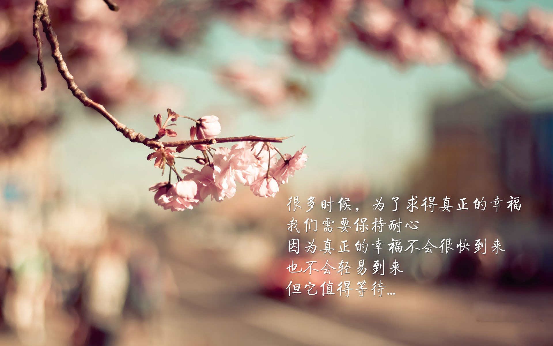 TL遗憾止步LCS半决赛,igvstl半决赛