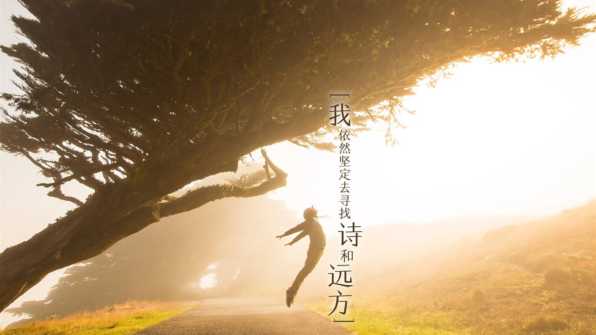 爱游戏体育APP下载-利物浦是否应优先补强中场控制力，利物浦什么阵型