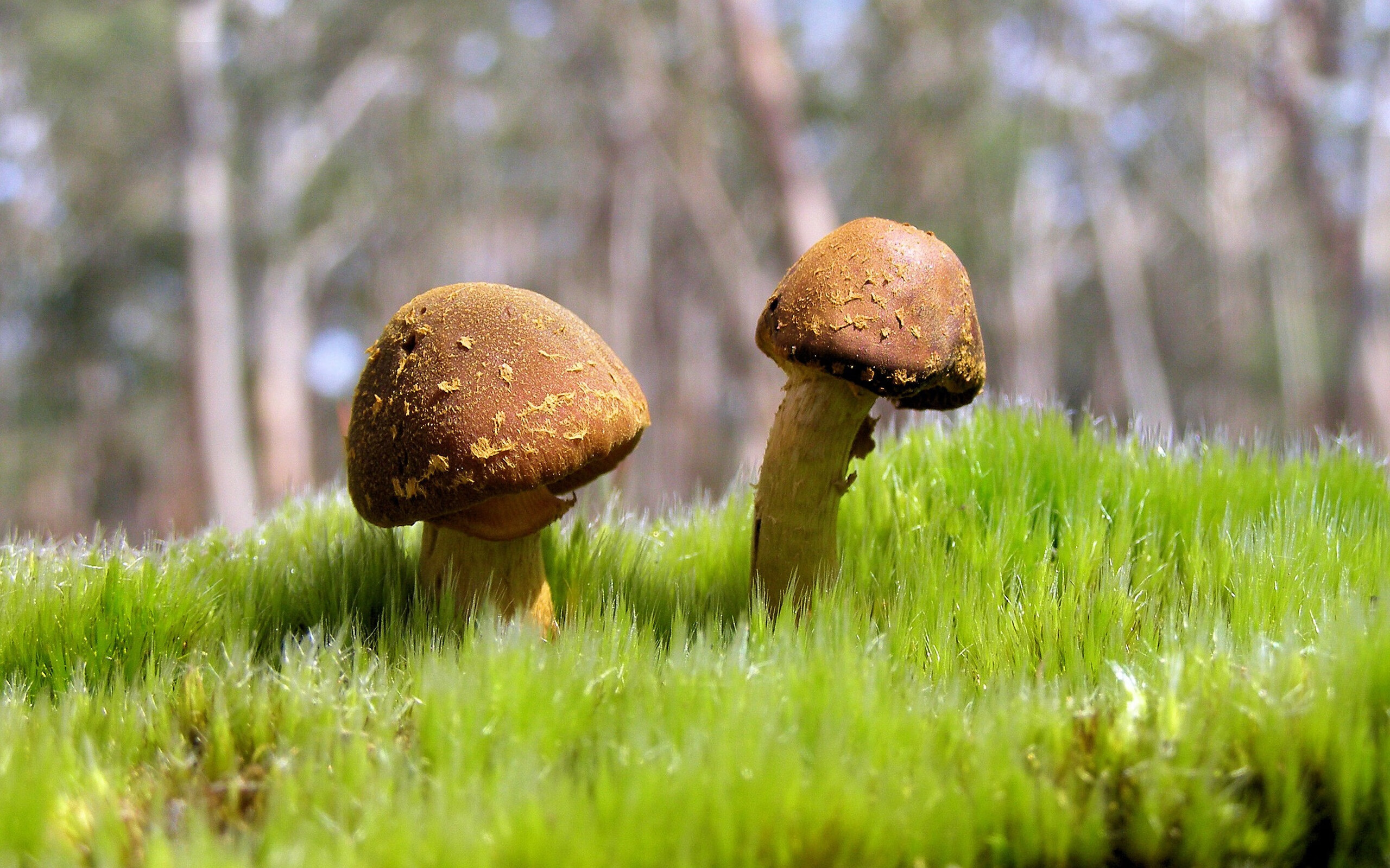 爱游戏体育APP下载-发展壮大基层体育社会组织，打通全民健身公共服务“最后一公里”