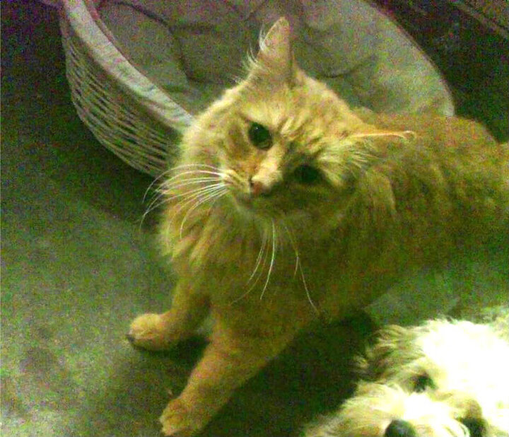 爱游戏娱乐-梅斯官宣签下前马赛球员，期待他为球队带来惊喜，梅斯对马赛比分预测