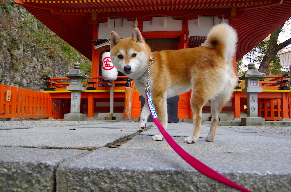 爱游戏官网-石油人战术调整见成效，石油战线上著名的“铁人”是()
