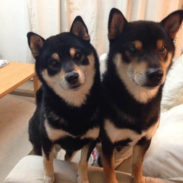 俱乐部成长故事：从基层青训到世界舞台，俱乐部打造