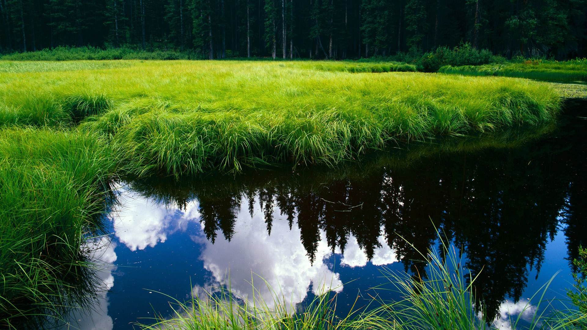 破纪录瞬间：年度极致精彩的比赛瞬间集锦，比赛精彩视频