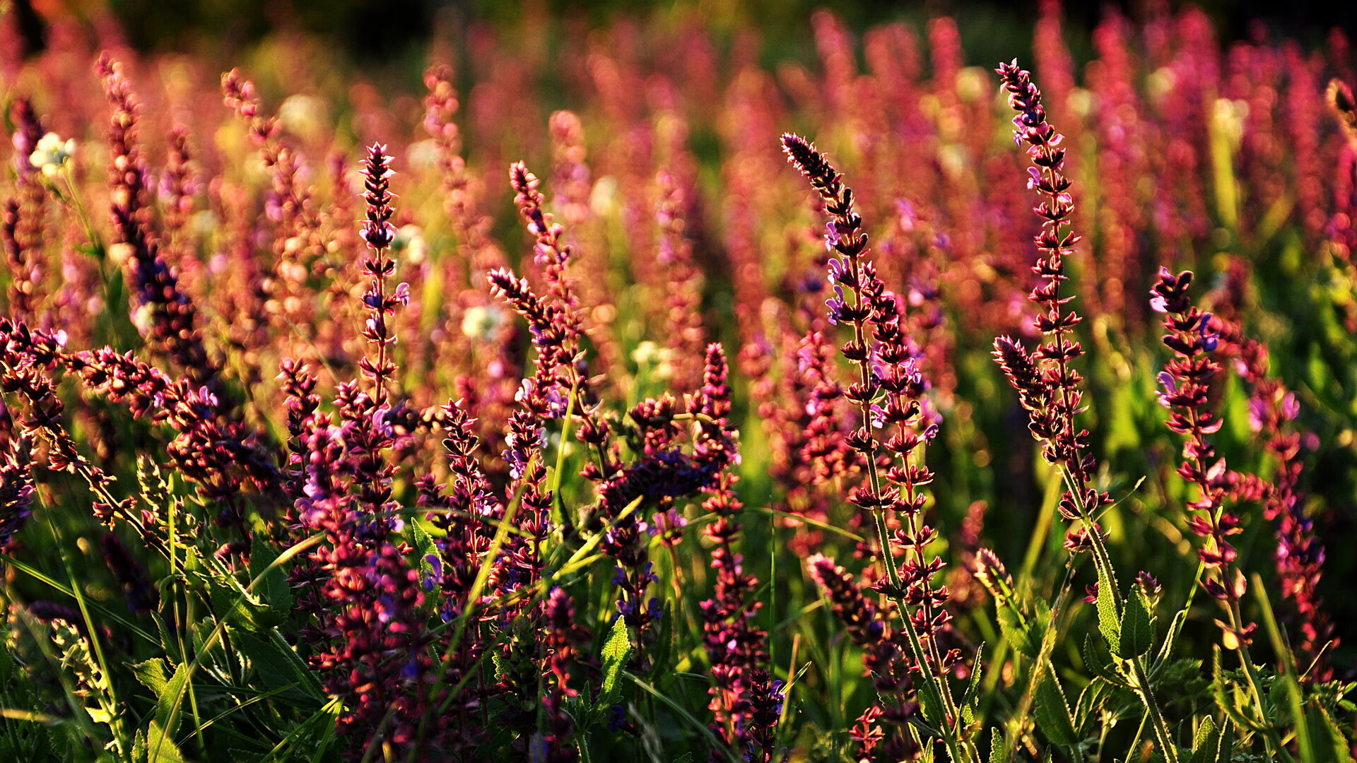“羽毛球选手超常发挥,简阳文体中心赛场火爆”