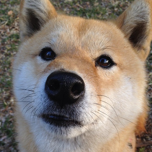 爱游戏体育-五大联赛球迷关注度最高的德比战盘点，足坛最火爆的德比