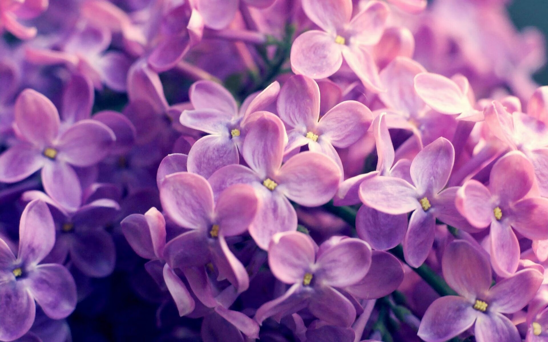 体育新闻中心联合多方探索体育内容分发精准化路径，体育新闻分类