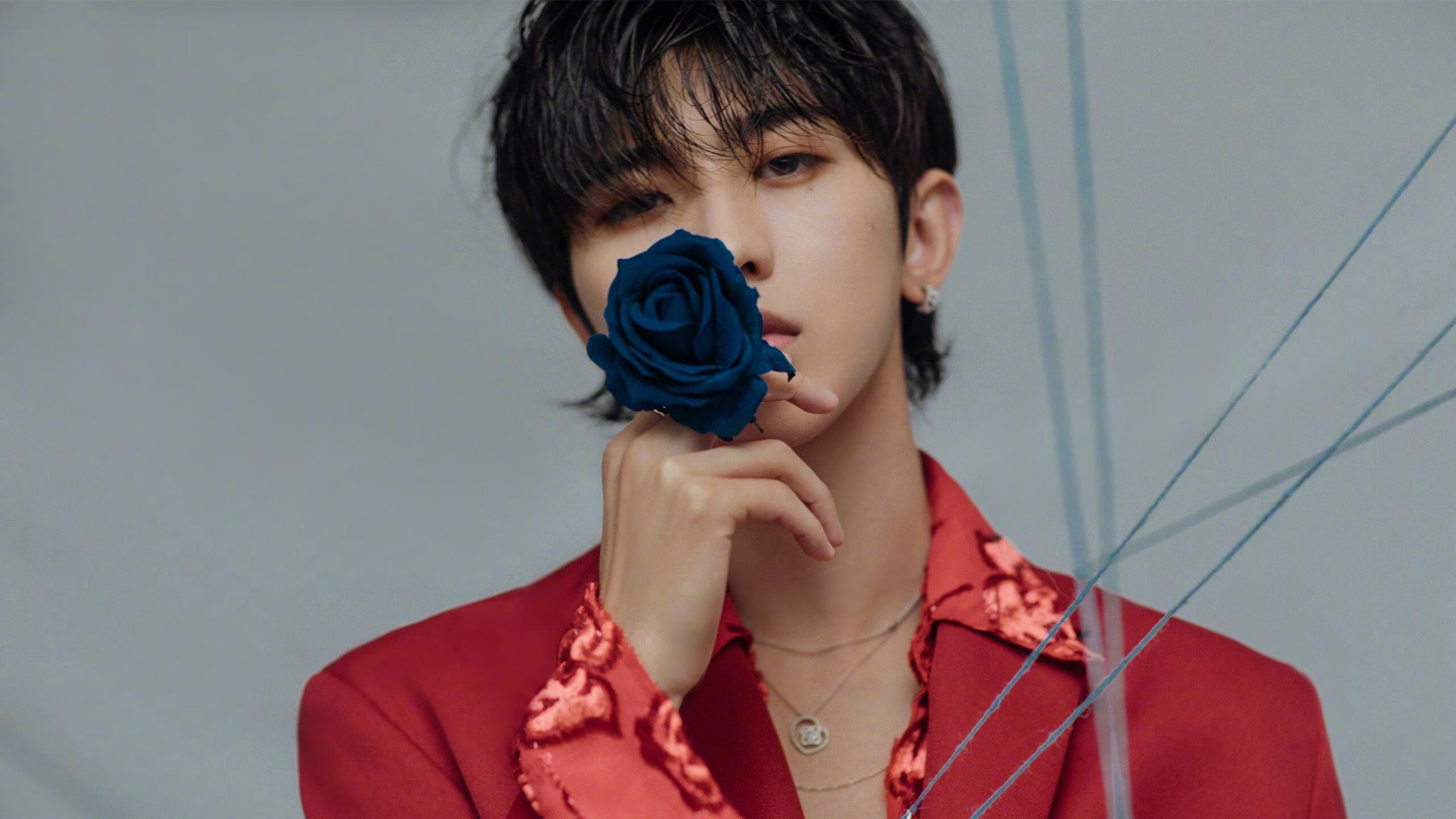 数据解析:蛙泳滑行段能延长几米?,蛙泳滑行几秒最好