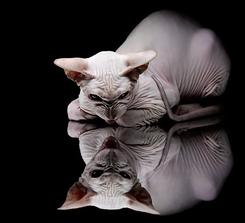 意甲劲敌交锋：攻防间的智慧博弈，意甲对阵