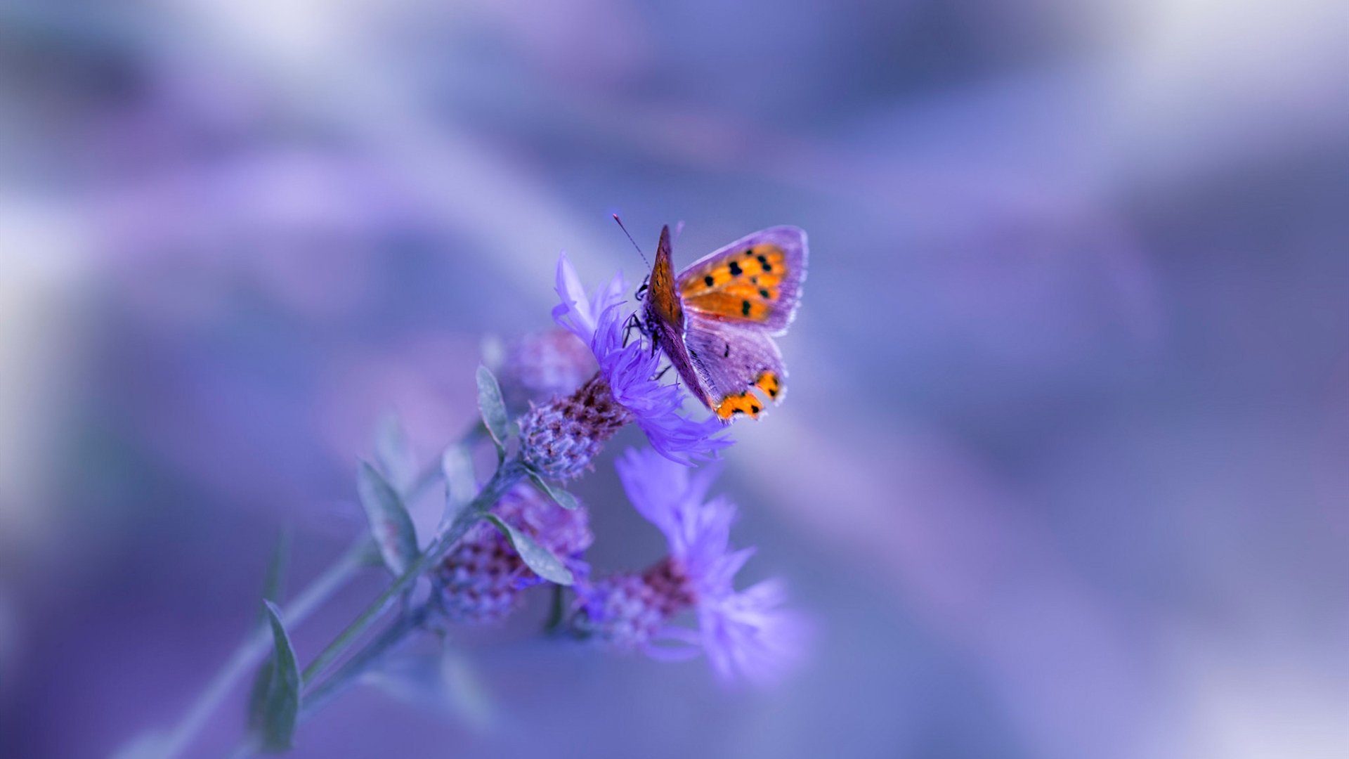 李娜称比赛输赢应当以成长为核心,李娜网球输了