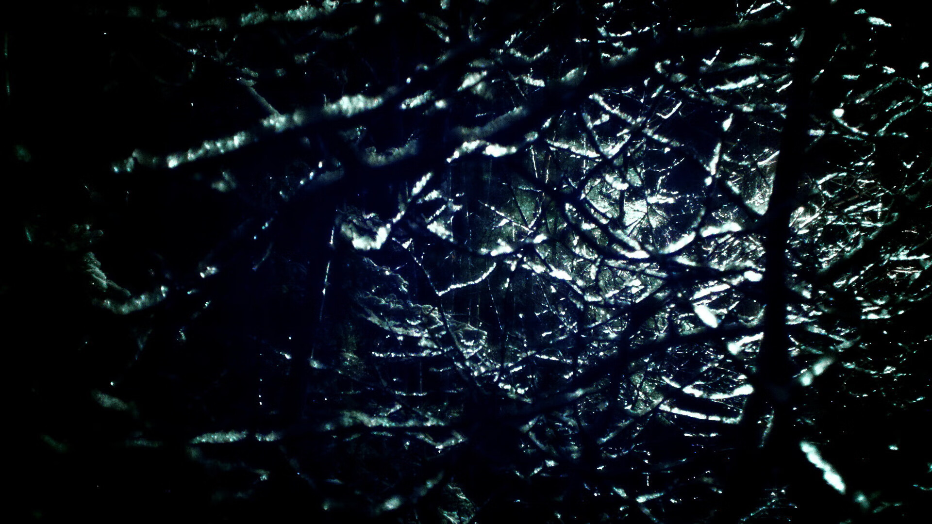 自由泳接力冲刺韩国赢得喝彩,自由泳接力回放