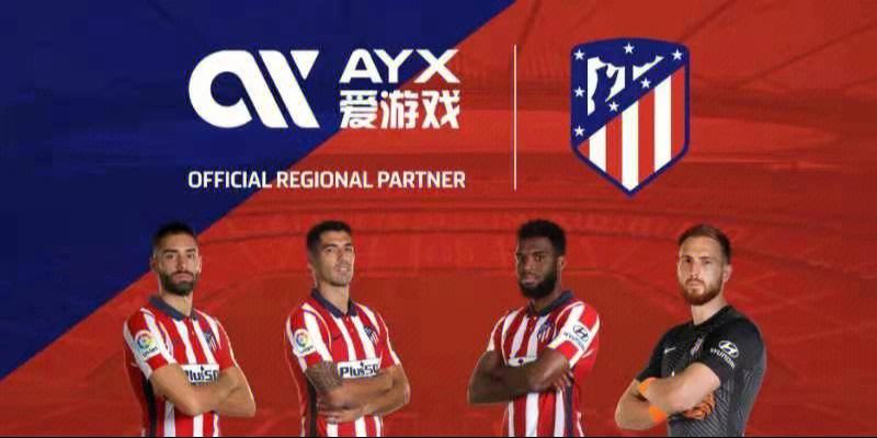 爱游戏体育:游泳赛事赞助，助力体育发展的简单介绍