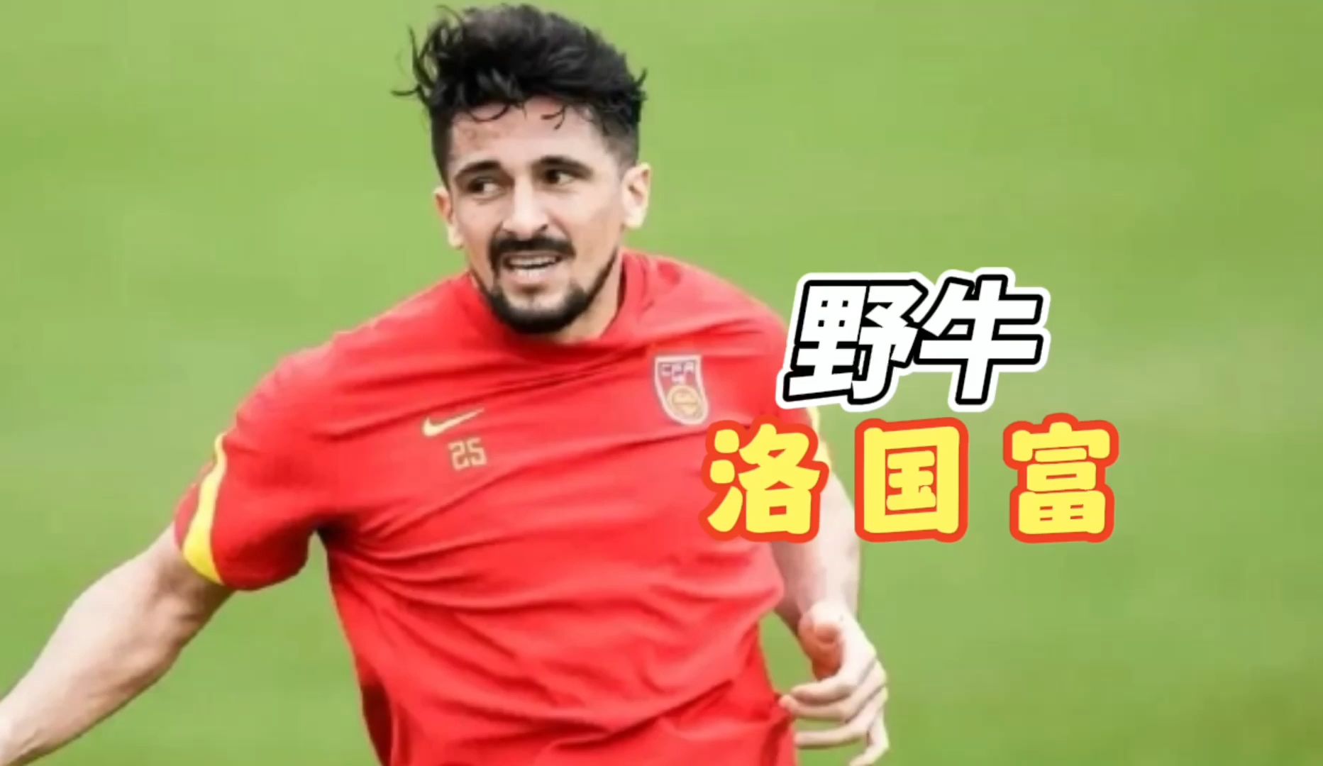 包含爱游戏体育:归化球员洛国富对中国足球的文化融合与社会影响的词条 包含爱游戏体育:归化球员洛国富对中国足球的文化融合与社会影响的词条